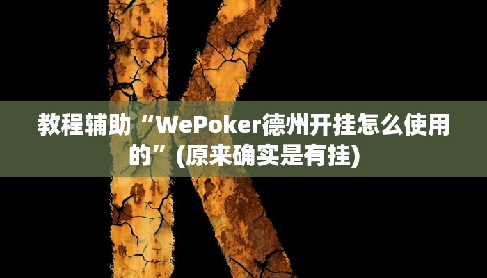 教程辅助“WePoker德州开挂怎么使用的”(原来确实是有挂)