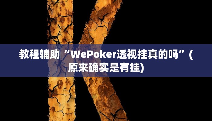 教程辅助“WePoker透视挂真的吗”(原来确实是有挂)