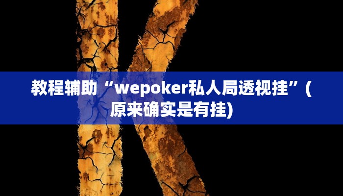 教程辅助“wepoker私人局透视挂”(原来确实是有挂)