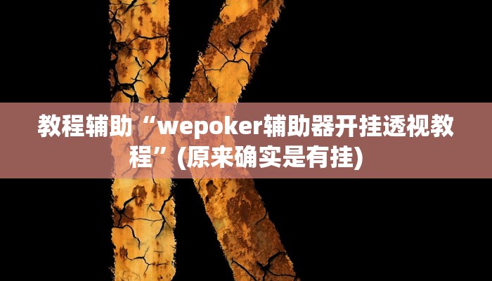 教程辅助“wepoker辅助器开挂透视教程”(原来确实是有挂)