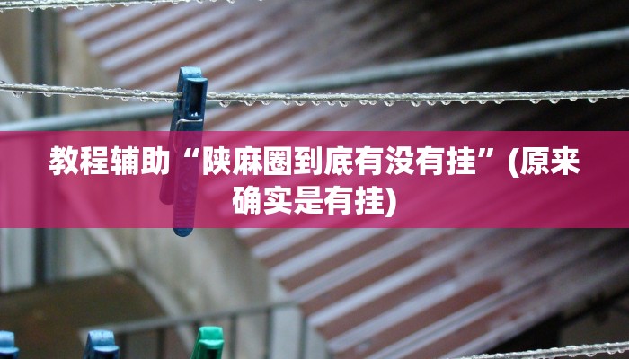 教程辅助“陕麻圈到底有没有挂”(原来确实是有挂)