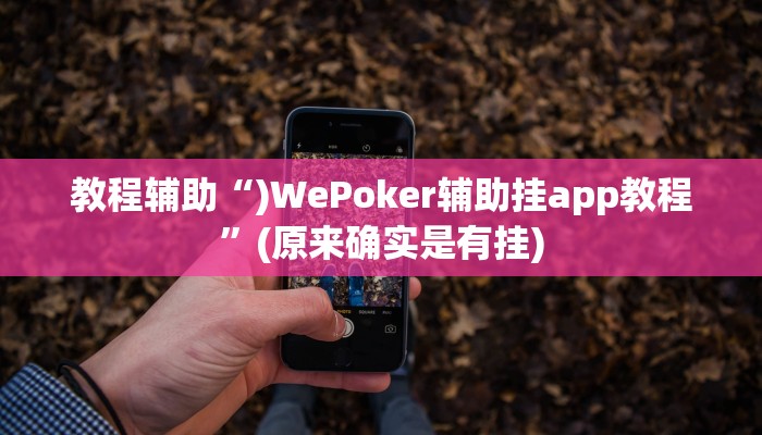教程辅助“)WePoker辅助挂app教程”(原来确实是有挂)