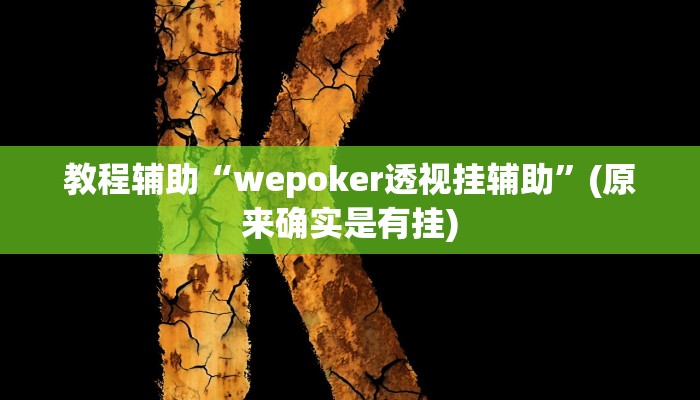 教程辅助“wepoker透视挂辅助”(原来确实是有挂)