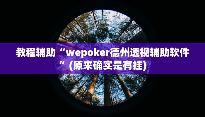 教程辅助“wepoker德州透视辅助软件”(原来确实是有挂)
