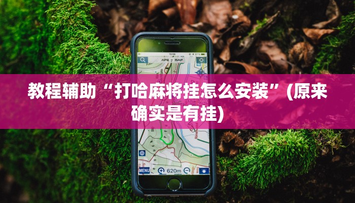 教程辅助“打哈麻将挂怎么安装”(原来确实是有挂)