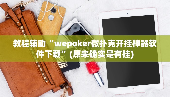 教程辅助“wepoker微扑克开挂神器软件下载”(原来确实是有挂)