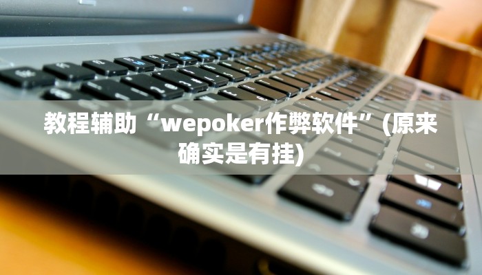 教程辅助“wepoker作弊软件”(原来确实是有挂)