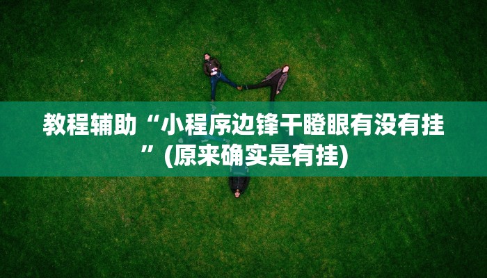 教程辅助“小程序边锋干瞪眼有没有挂”(原来确实是有挂)