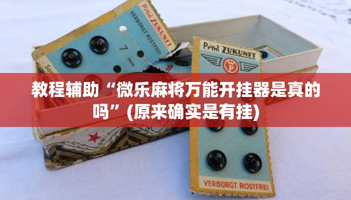 教程辅助“微乐麻将万能开挂器是真的吗”(原来确实是有挂)