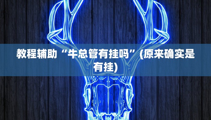 教程辅助“牛总管有挂吗”(原来确实是有挂)