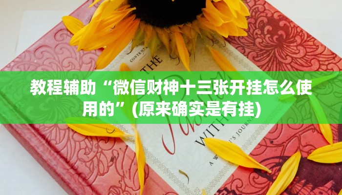 教程辅助“微信财神十三张开挂怎么使用的”(原来确实是有挂)