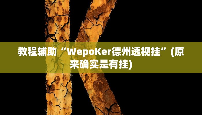 教程辅助“WepoKer德州透视挂”(原来确实是有挂)