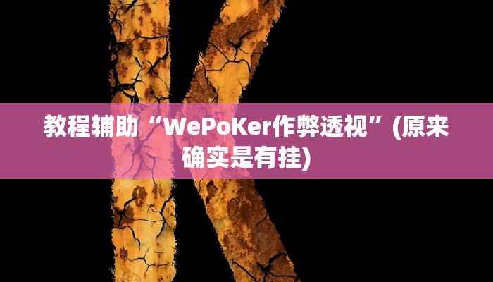 教程辅助“WePoKer作弊透视”(原来确实是有挂)