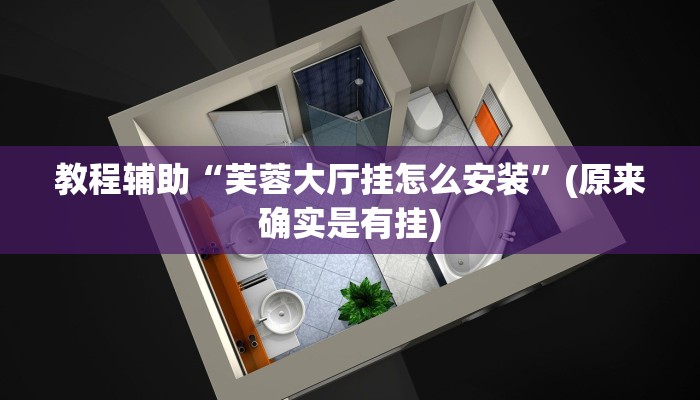 教程辅助“芙蓉大厅挂怎么安装”(原来确实是有挂)