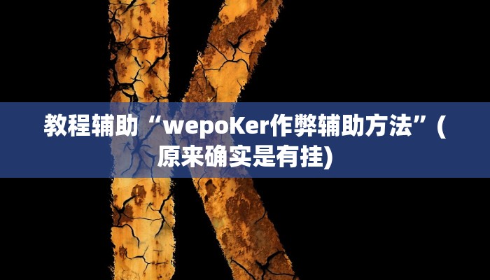 教程辅助“wepoKer作弊辅助方法”(原来确实是有挂)