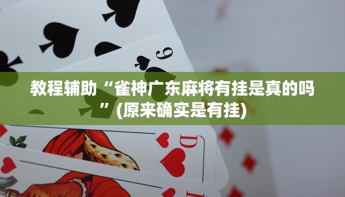 教程辅助“雀神广东麻将有挂是真的吗”(原来确实是有挂)