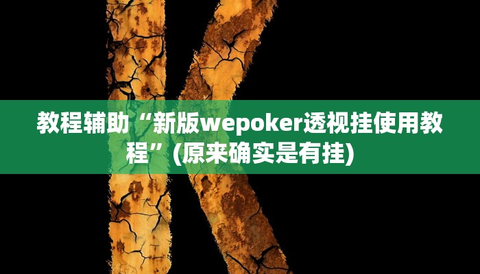 教程辅助“新版wepoker透视挂使用教程”(原来确实是有挂)