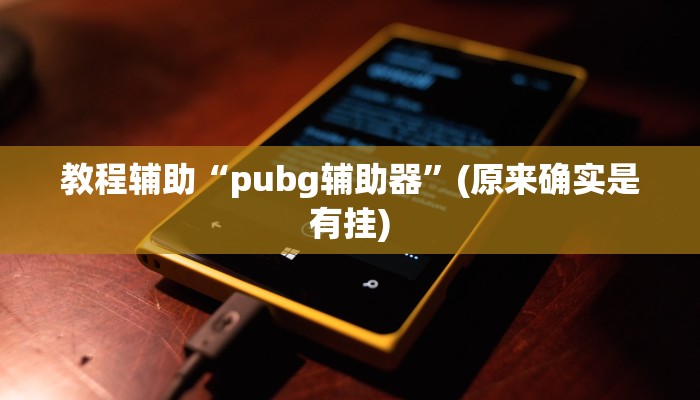 教程辅助“pubg辅助器”(原来确实是有挂)