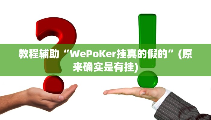 教程辅助“WePoKer挂真的假的”(原来确实是有挂)