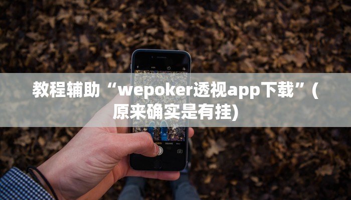 教程辅助“wepoker透视app下载”(原来确实是有挂)