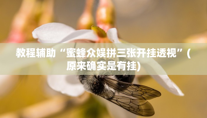 教程辅助“蜜蜂众娱拼三张开挂透视”(原来确实是有挂)