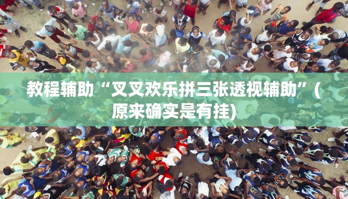 教程辅助“叉叉欢乐拼三张透视辅助”(原来确实是有挂)
