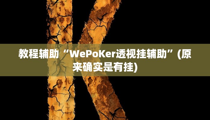 教程辅助“WePoKer透视挂辅助”(原来确实是有挂)