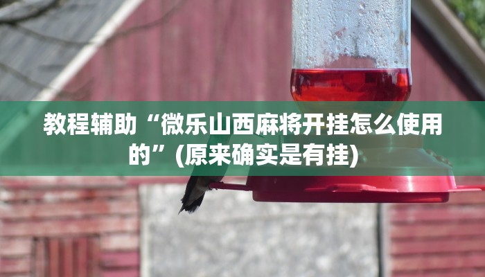 教程辅助“微乐山西麻将开挂怎么使用的”(原来确实是有挂)
