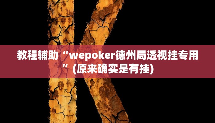 教程辅助“wepoker德州局透视挂专用”(原来确实是有挂)