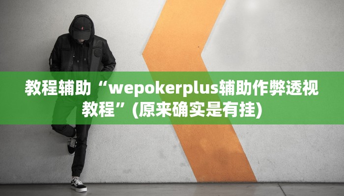 教程辅助“wepokerplus辅助作弊透视教程”(原来确实是有挂)