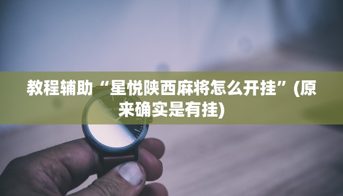 教程辅助“星悦陕西麻将怎么开挂”(原来确实是有挂)