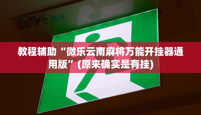 教程辅助“微乐云南麻将万能开挂器通用版”(原来确实是有挂)