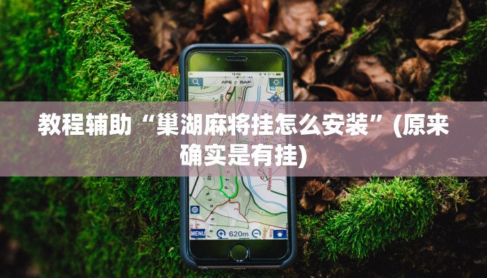 教程辅助“巢湖麻将挂怎么安装”(原来确实是有挂)