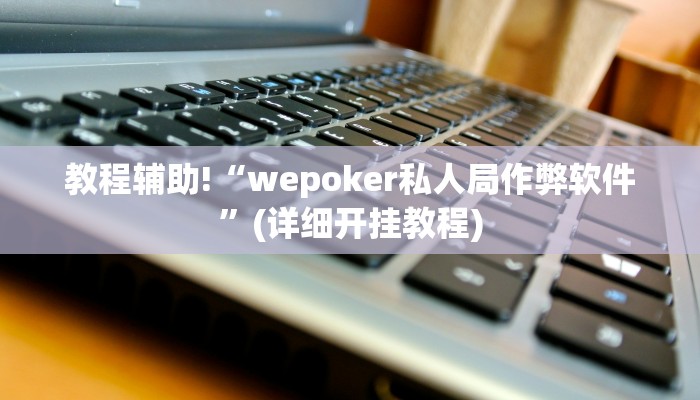 教程辅助!“wepoker私人局作弊软件”(详细开挂教程)
