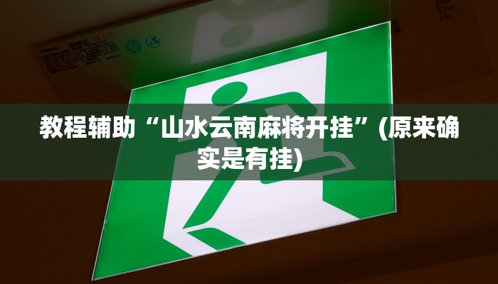 教程辅助“山水云南麻将开挂”(原来确实是有挂)