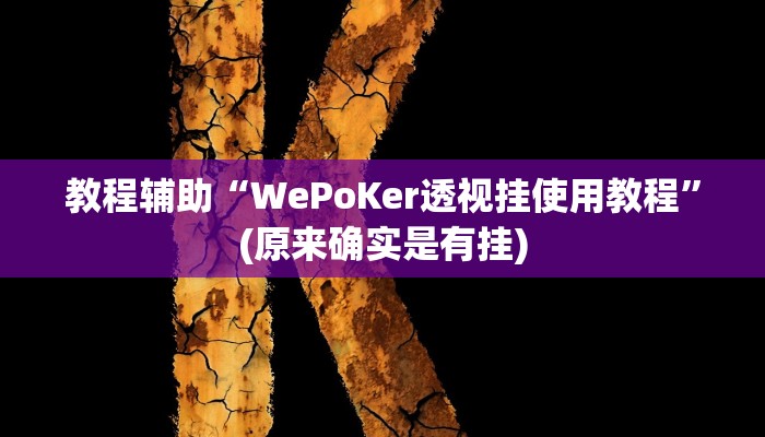 教程辅助“WePoKer透视挂使用教程”(原来确实是有挂)
