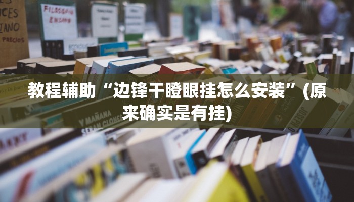 教程辅助“边锋干瞪眼挂怎么安装”(原来确实是有挂)