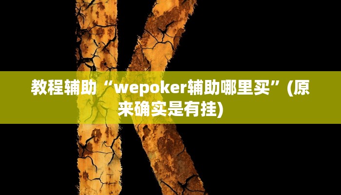 教程辅助“wepoker辅助哪里买”(原来确实是有挂)