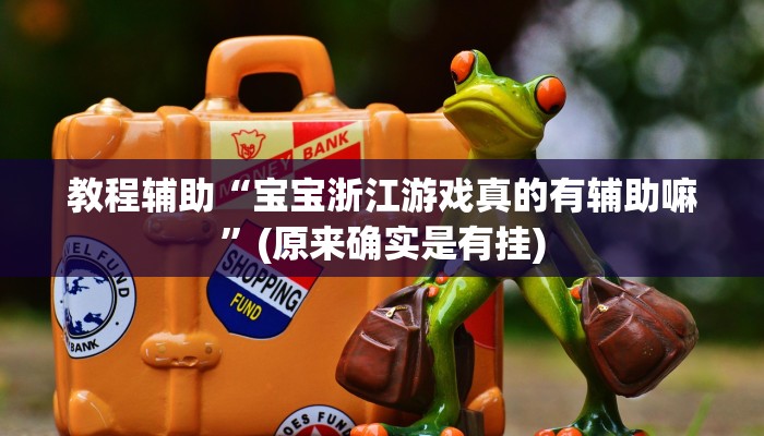 教程辅助“宝宝浙江游戏真的有辅助嘛”(原来确实是有挂)