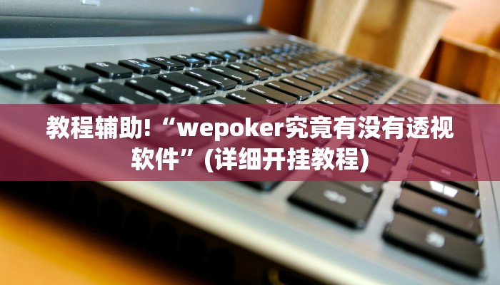教程辅助!“wepoker究竟有没有透视软件”(详细开挂教程)