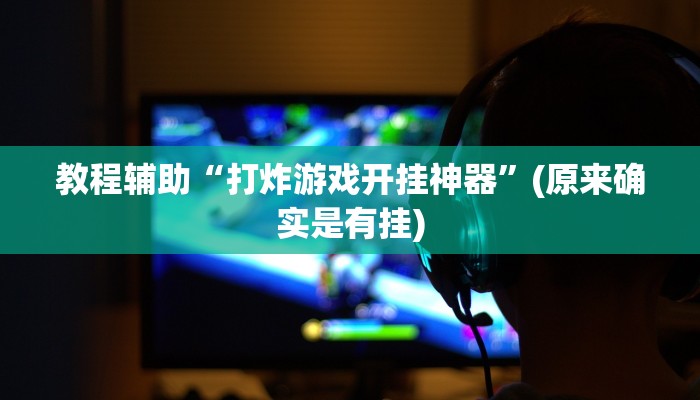 教程辅助“打炸游戏开挂神器”(原来确实是有挂)