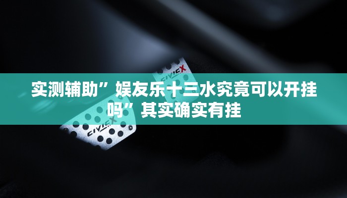 实测辅助”娱友乐十三水究竟可以开挂吗”其实确实有挂