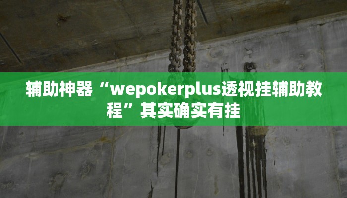 辅助神器“wepokerplus透视挂辅助教程”其实确实有挂