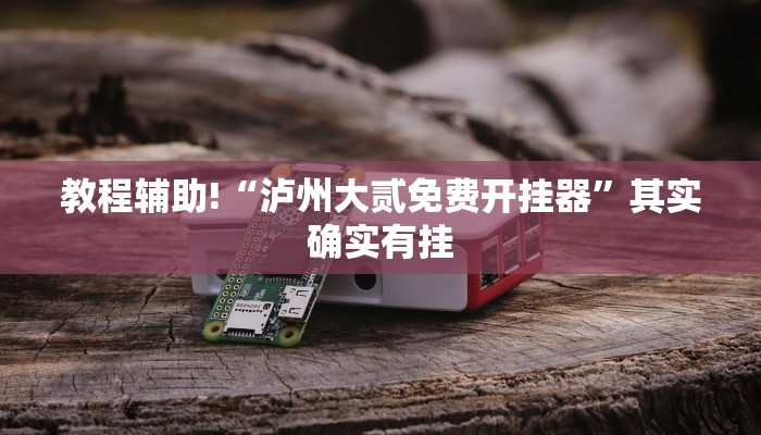 教程辅助!“泸州大贰免费开挂器”其实确实有挂