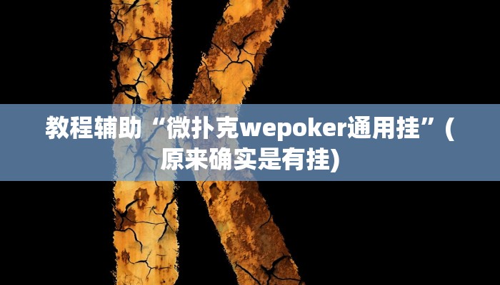 教程辅助“微扑克wepoker通用挂”(原来确实是有挂)