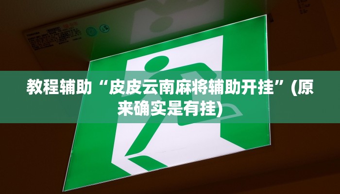 教程辅助“皮皮云南麻将辅助开挂”(原来确实是有挂)