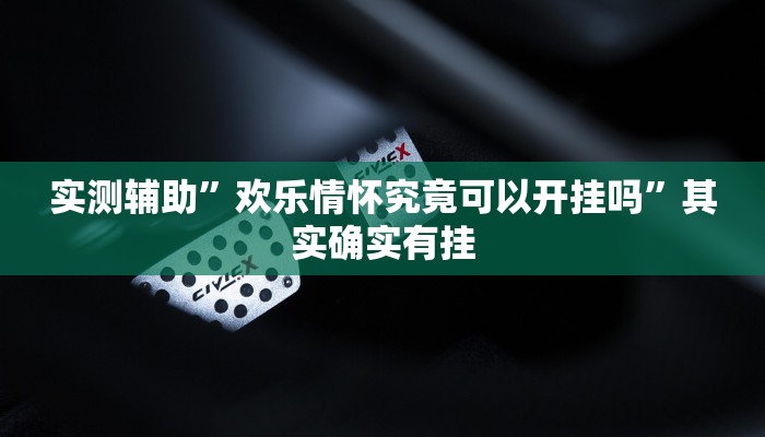 实测辅助”欢乐情怀究竟可以开挂吗”其实确实有挂