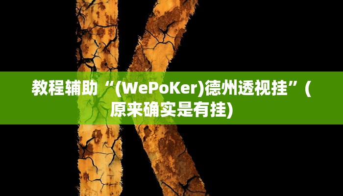 教程辅助“(WePoKer)德州透视挂”(原来确实是有挂)