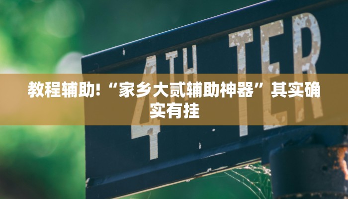 教程辅助!“家乡大贰辅助神器”其实确实有挂